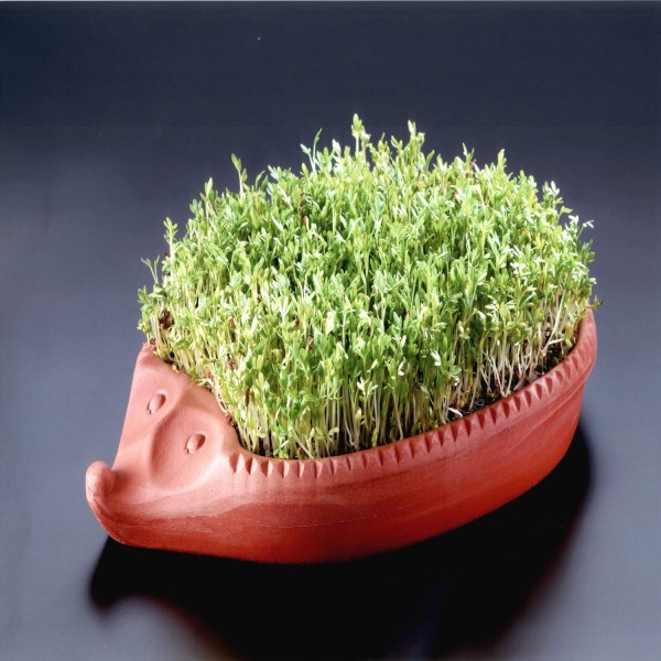 RÖMERTOPF®  Kresseigel