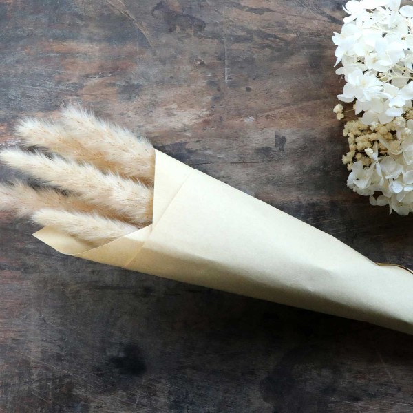 Getrocknetes Pampasgras (Braun) von Chic Antique