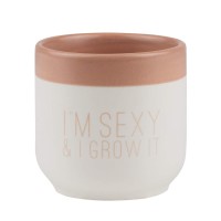 Vase "I'm sexy and I grow it" - 6,5 cm (Weiß/Rosa) von räder Design