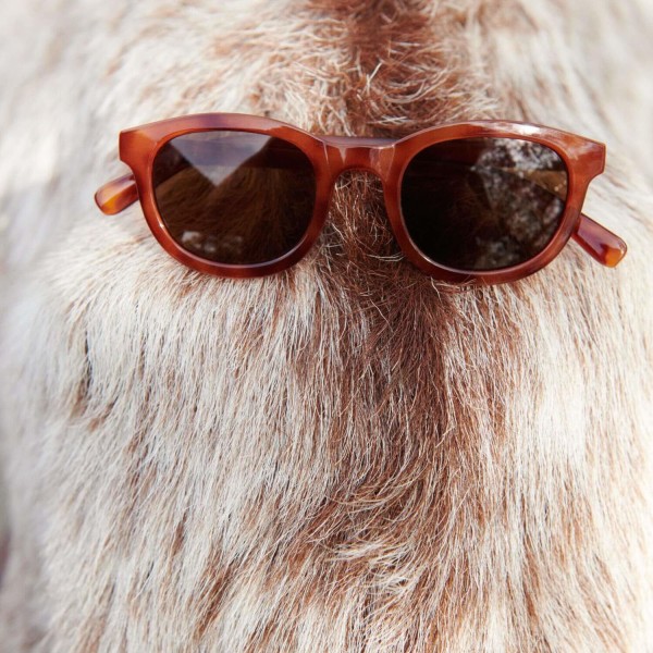 Kinder-Sonnenbrille "Ruben" (Tortoise/Shiny) von Liewood
