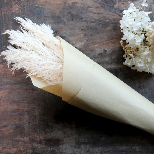 Getrocknetes Pampasgras (Creme) von Chic Antique