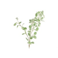 Künstlicher Eukalyptus - 89 cm (Grün) von Decostar