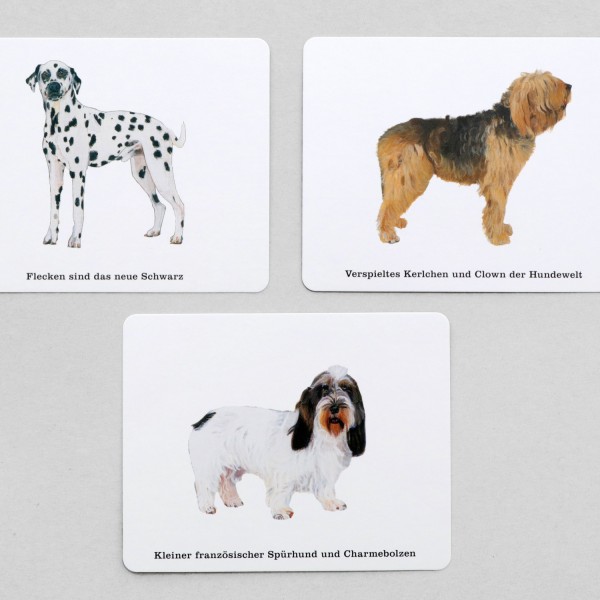 Quizspiel "Wer kennt alle Hunde?" von Laurence King