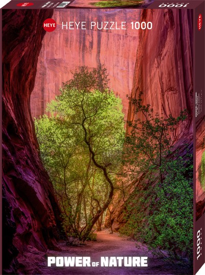 Puzzle "Singing Canyon POWER OF NATURE Standard" - 1000 Teile von Heye