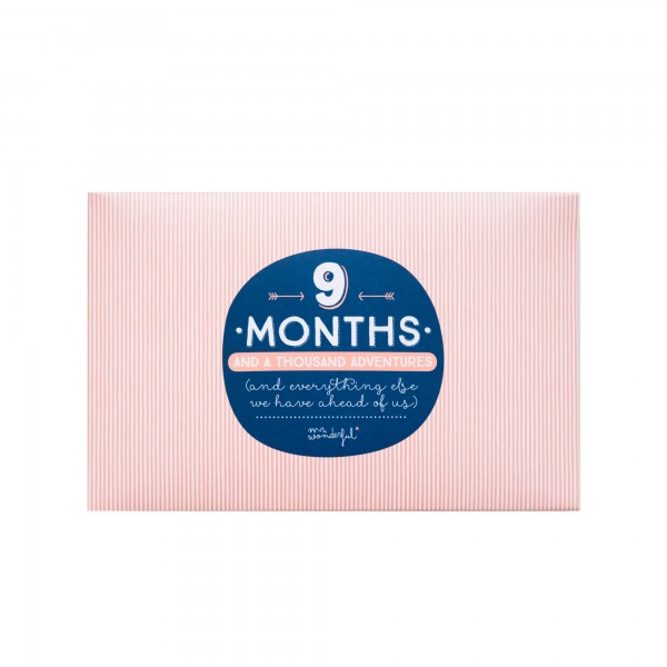 Album "9 months and a thousand adventures" von mr. wonderful*