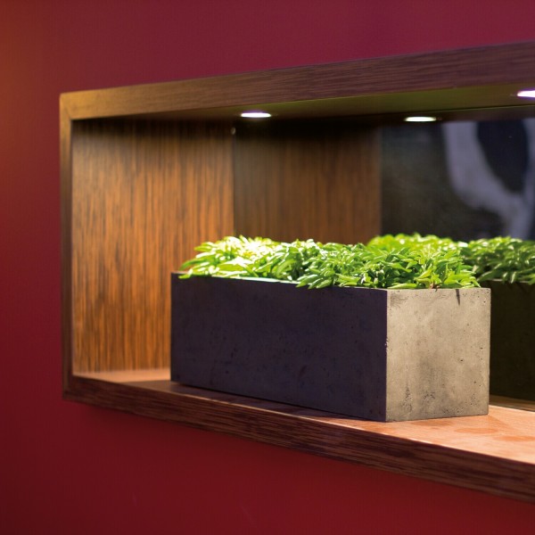 Pflanzkübel "Polystone Flowerbox" - 65 cm (Anthrazit) von fleur ami