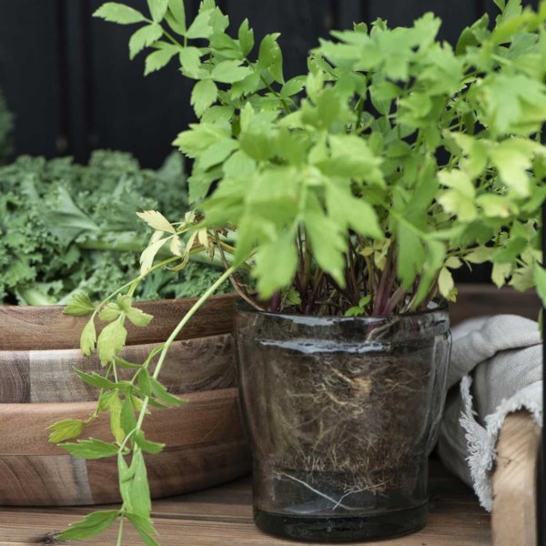 Ib Laursen Blumentopf aus Glas mit Rillen - ø 10,5 cm