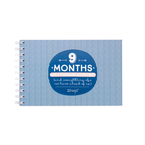 Album "9 months and a thousand adventures" von mr. wonderful*